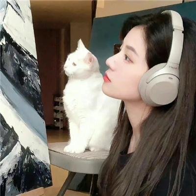脑残粉丝